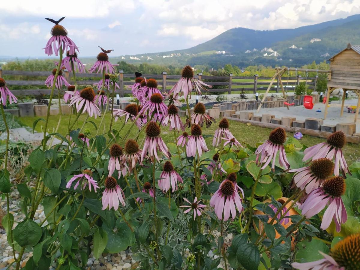Chalet Beskidzka Ostoja - Miejsce Z Dusza Ustron